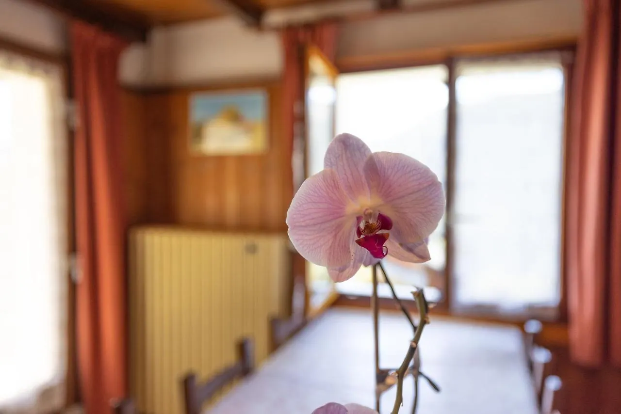 La Rose Des Vents N 2 Appartement Châtel